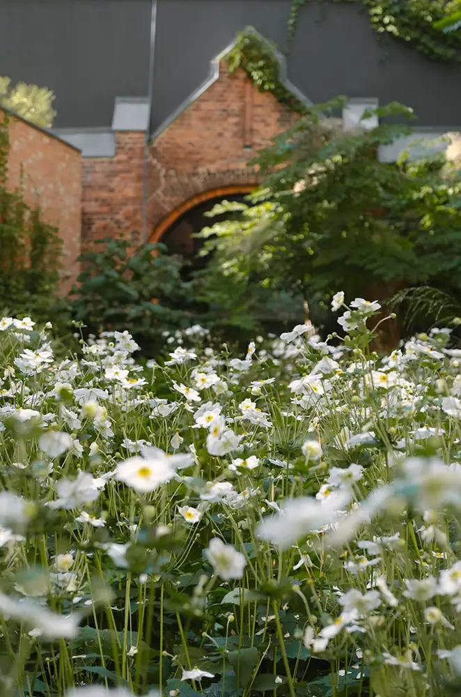 Fassade des Lovis Restaurants im Wilmina Hotel mit einladender Gartenpassage