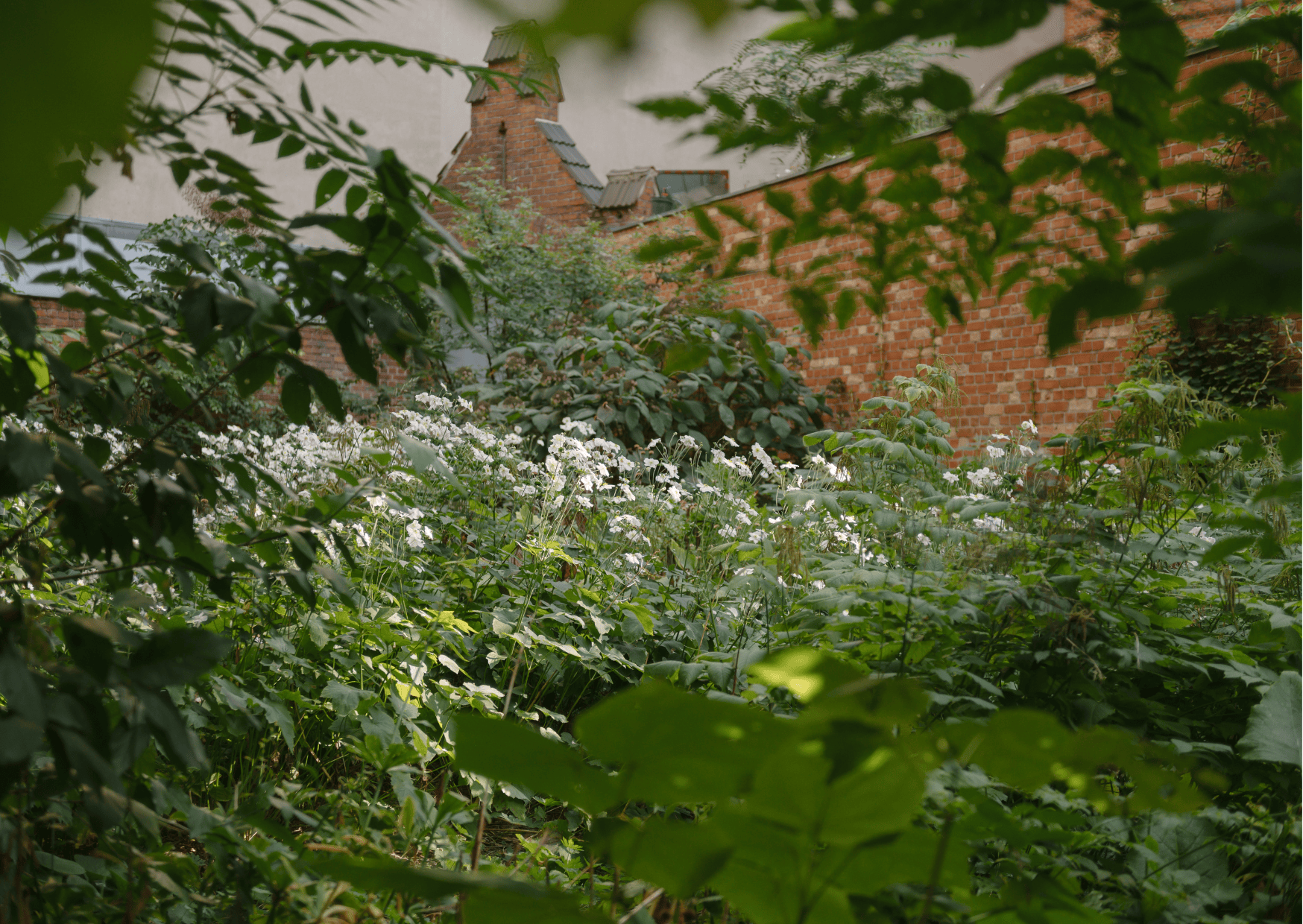 Garten nachher